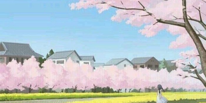 700x1201 Spring wallpaper – a 100 beautiful images to decorate your phone