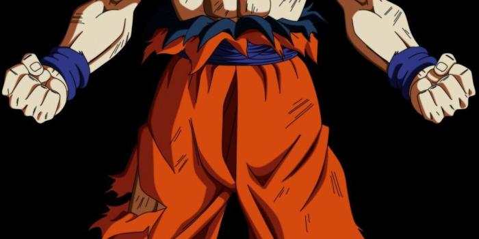 1024x2048 Goku mastered ultra instinct (With images) | Dragon ball super