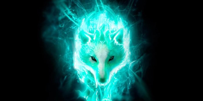 1440x1280 Download Blue fox Wallpaper by ronyzeran - 2e - Free on ZEDGE™ now