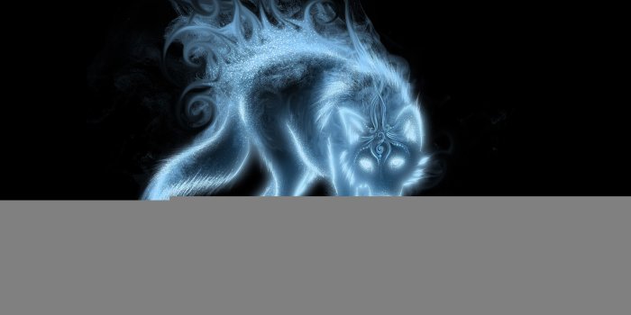 2560x1700 Free download BLUE FOX WALLPAPERS FREE Wallpapers Background