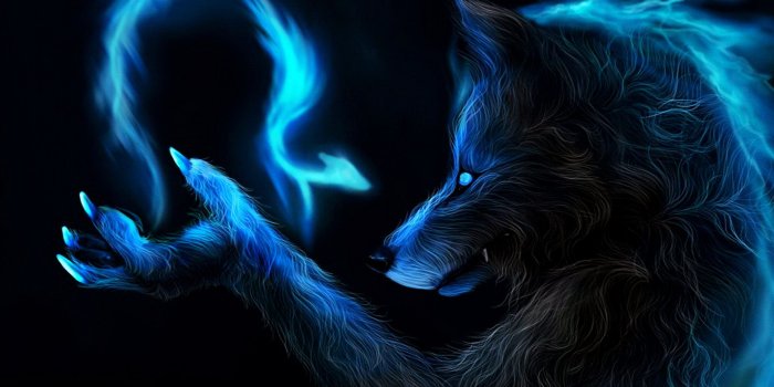 2560x1600 Best 41+ Blue Fox Backgrounds on HipWallpaper | Cute Fox Wallpaper