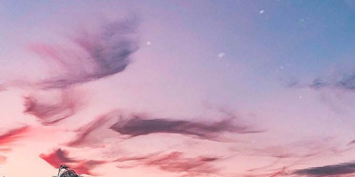 736x1308 Los Angeles Iphone Wallpapers By Preppy Wallpapers - Cute