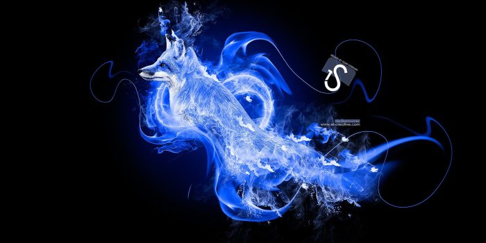 1920x1080 Blue Fire Lion Related Keywords & Suggestions - Fox In Blue Fire