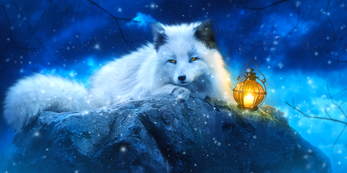 1600x1078 Fantasy Fox Fantasy Animals HD Wallpaper - Wallpaper Cart