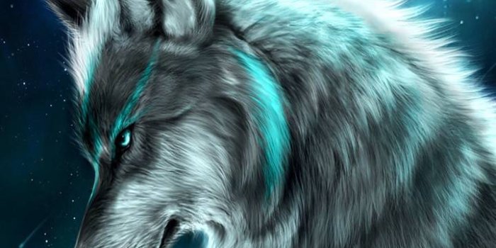 720x1280 Dark fox wallpaper by ladla323 - b4 - Free on ZEDGE™