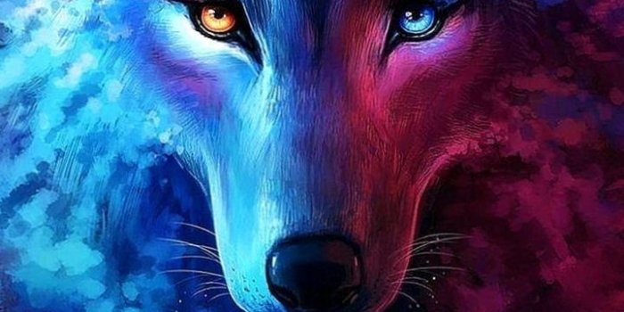 720x1280 Cool Blue Wolf Wallpapers - Wolf-Wallpapers.Pro