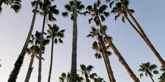 1280x960 This pic is so cute and makes the perfect wallpaper... Taken by