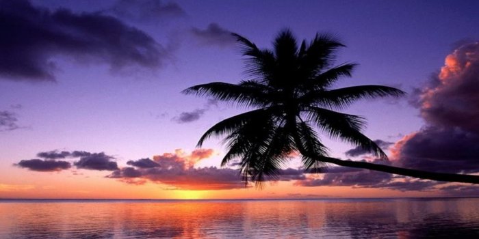 1024x768 California wallpaper | 1600x1200 | #47407