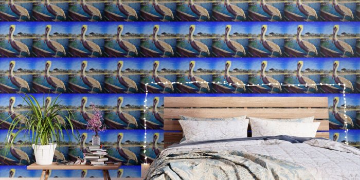 1500x1500 California beach pier pelican | Soak up the Sun Wallpaper by