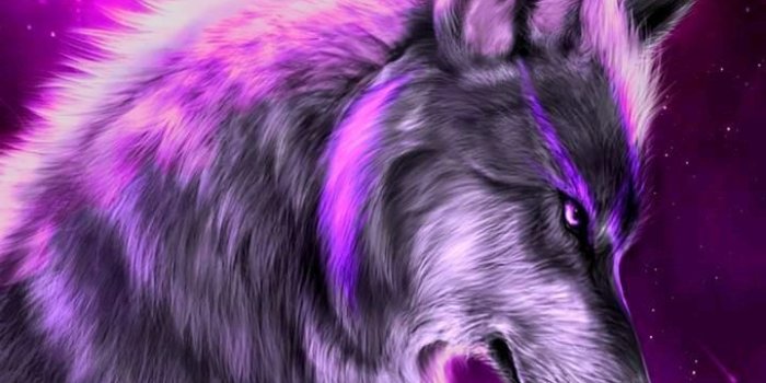 3455x2592 Cool Fox Backgrounds posted by Zoey Sellers