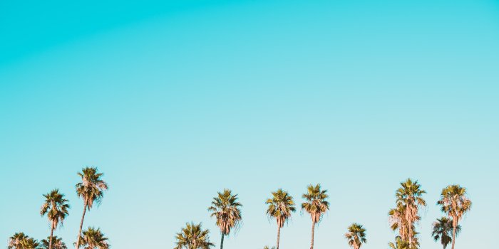 4240x2832 California Wallpapers: Free HD Download [500+ HQ] | Unsplash