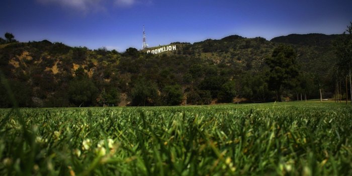1920x1200 landscape, Worms Eye View, Grass, Hollywood, Signs, Hill