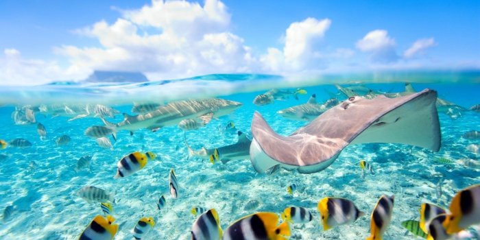 1920x1080 Bora Bora Windows Wallpapers - Top Free Bora Bora Windows