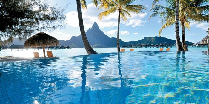 1332x850 Wallpaper palm trees, the ocean, pool, resort, french polynesia
