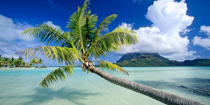 1920x1200 Tropical Beach Hd Wallpaper - Bora Bora (#1087396) - HD Wallpaper