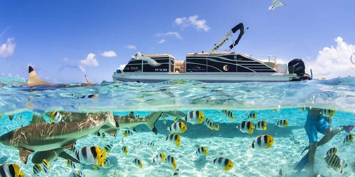 1200x720 Bora Bora Island Travel Guide and Bora Bora Deals | Tahiti.com