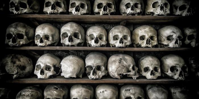 2560x1587 death, Skull, Bones Wallpapers HD / Desktop and Mobile Backgrounds