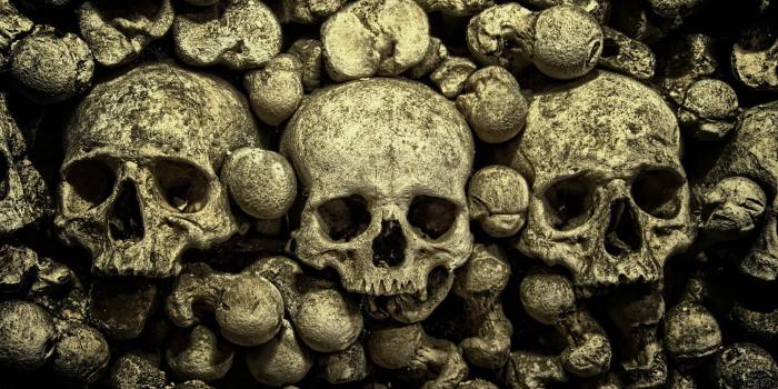 2290x1428 Sagrada Familia door, skull, bones HD wallpaper | Wallpaper Flare