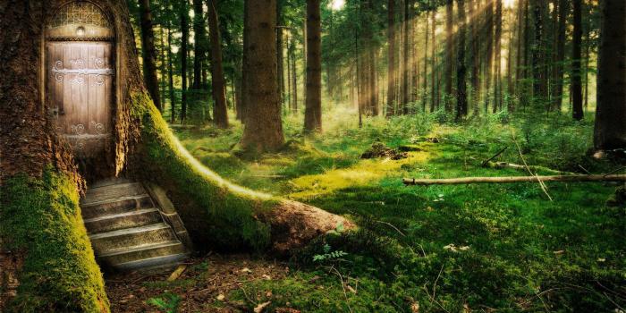 1920x1080 Forest Fairy Wallpapers - Top Free Forest Fairy Backgrounds