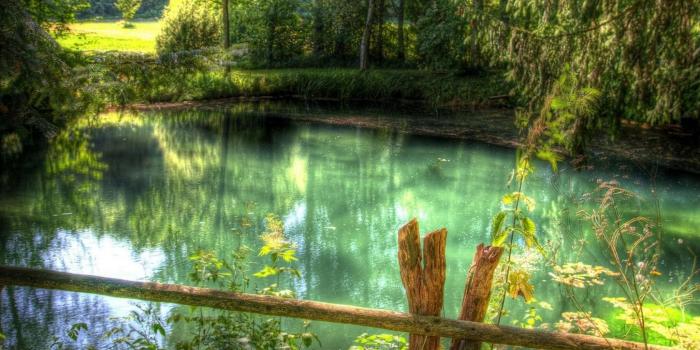 1680x1050 Free download Download Nature Wallpaper wallpaper Fairy Tale