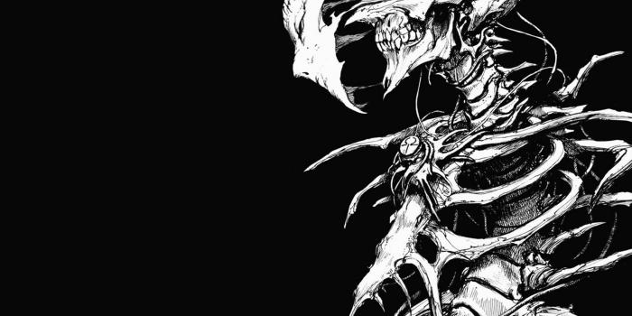 1680x1050 Human skeleton digital wallpaper, skull, face, bones, drawing HD