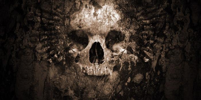 1600x1200 Skulls And Bones Gallery 510865096 Wallpaper for Free - Adorable