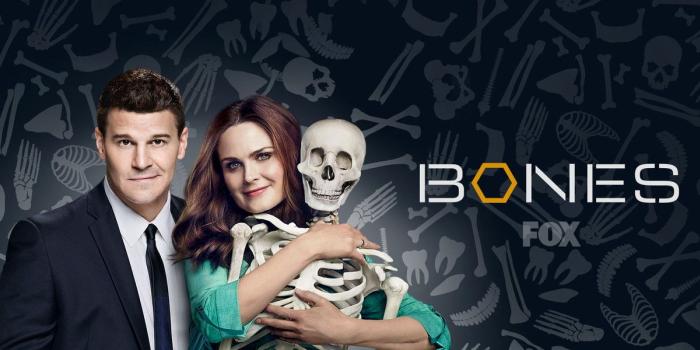1600x600 HD Bones Wallpapers | Download Free - 983601