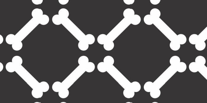 1080x1920 Bones iPhone Wallpaper | Holiday wallpaper, Wallpaper backgrounds