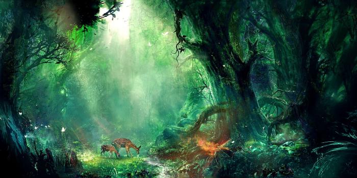 2560x1440 forest, fairies, fantasy, deer, stream, butterflies, magic, nature
