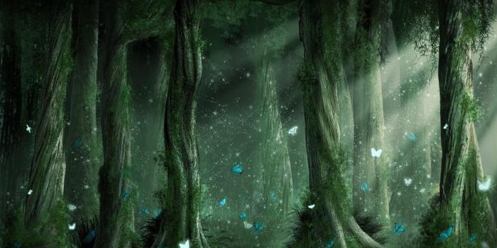 1280x800 Forest Fairy Wallpapers - Top Free Forest Fairy Backgrounds