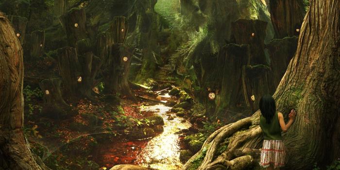 1920x1200 enchanted forest 10752 | Fantasy landscape, Scenery wallpaper