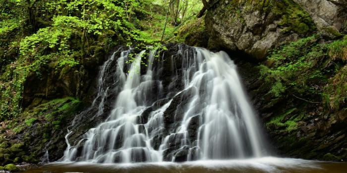 1920x1080 Nature, Body Of Water, Nature Reserve, Vegetation, - Fairy Glen