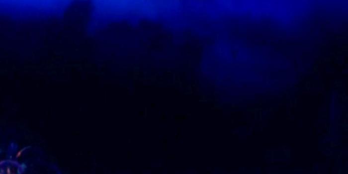 1080x1920 Fairy Nature Video Wallpaper for Android - APK Download