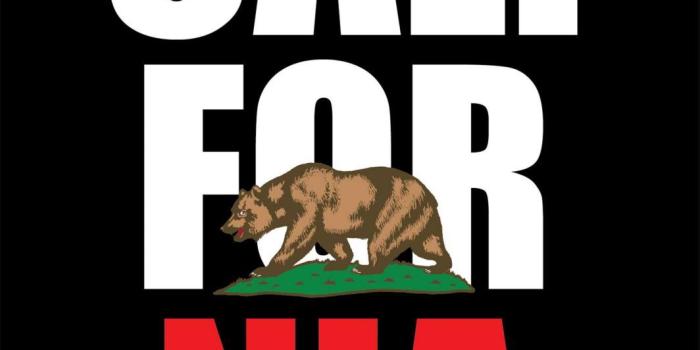 1064x2000 Sola California Flag Beach Towel in 2020 | California flag