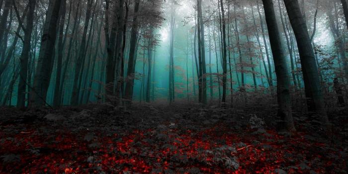 1920x1200 magic, Fairy Tale, Nature, Landscape, Mist, Red, Blue, Gray