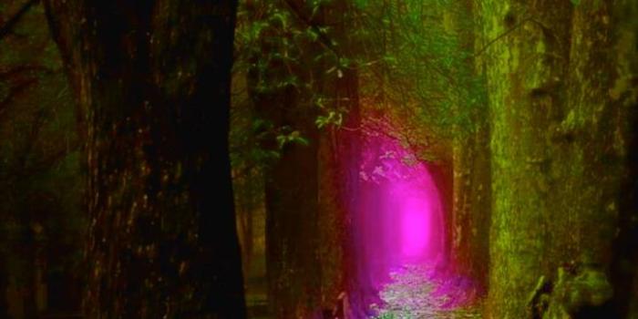 720x1280 Fairy Cabin wallpaper by JadeKat - 95 - Free on ZEDGE™