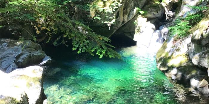 2560x1440 fairy 4K wallpapers for your desktop or mobile screen free and