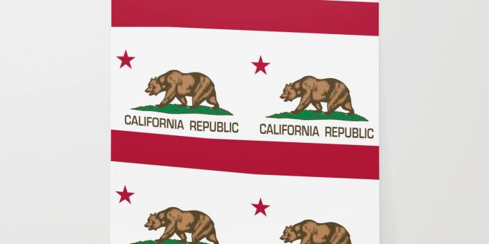 1500x1500 California flag, High Quality Authentic Wallpaper by flags | Society6