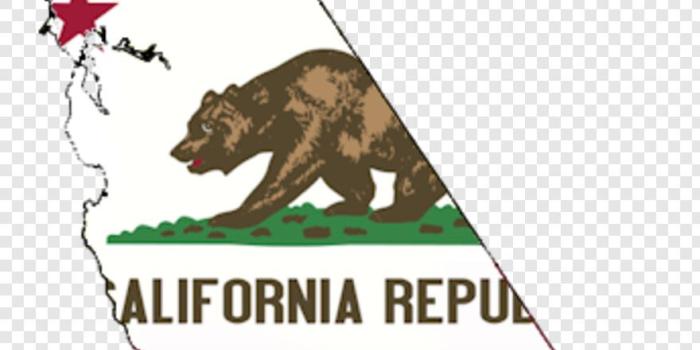880x1497 California Bear - California Flag Wallpaper Iphone, HD Png