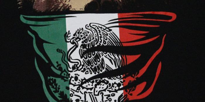 1000x1143 Mexican Flag Bandana Bear – Tees Geek