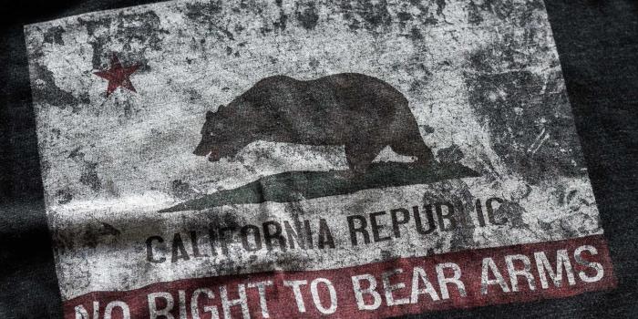 1920x1080 California Flag Rkba Infringed T-shirt Detail - Grizzly Bear