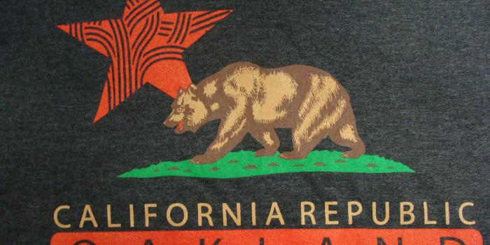 2048x1536 California Flag Oakland CA Star Bear Red Sun Dark Grey Tee | Etsy