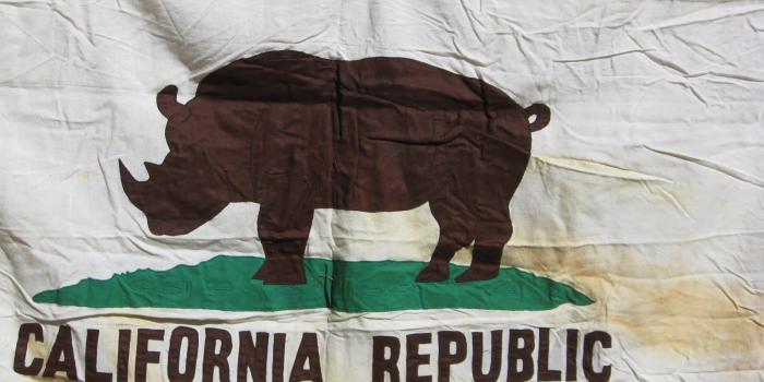 1600x1200 Bear Flag Museum: California Flag with Rhino Instead of Bear