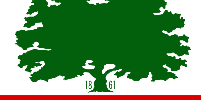 1024x768 File:Flag of Woodland, California.svg - Wikimedia Commons