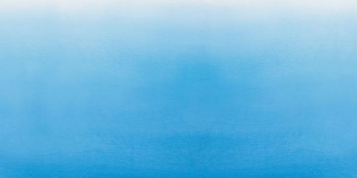 1000x1667 Saraille by Designers Guild - Blue / White - Mural - P600/01 in