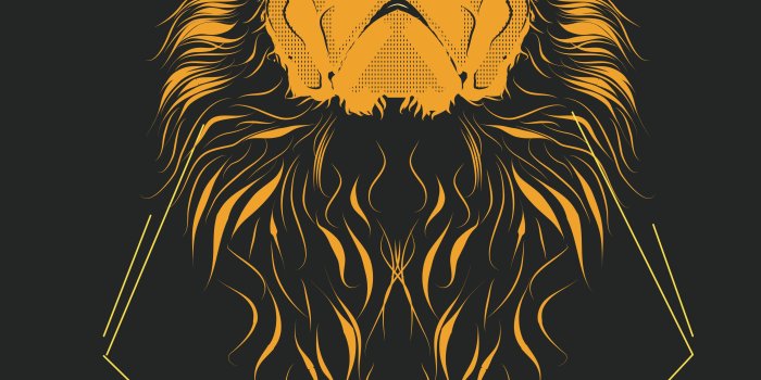 3508x4961 Zodiac Leo iPhone Wallpapers - Top Free Zodiac Leo iPhone