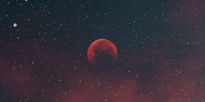 800x1600 Space Wallpaper Iphone X