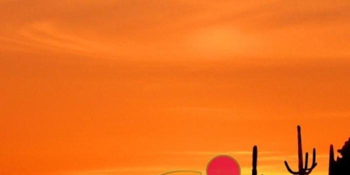 750x1334 Ubuntu Sunset HD wallpaper download