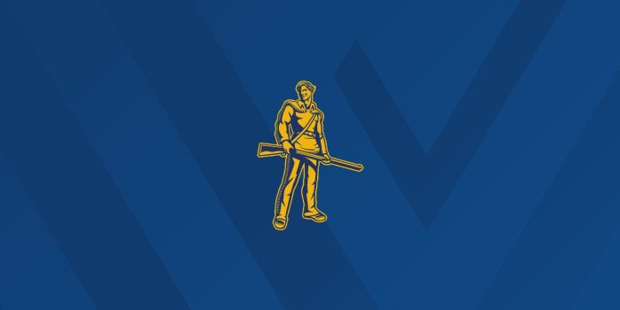 1920x1080 62+ Wvu Iphone Wallpapers on WallpaperPlay