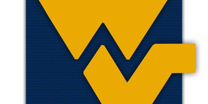1080x1920 Flying WV Wallpaper (57+ images)